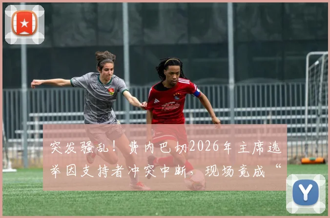 突发骚乱！费内巴切2026年主席选举因支持者冲突中断，现场竟成“自由搏击”擂台？